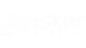 Logo Master Telecom