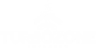 Logo Turbozone Internet