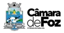 Logo CAMARA MUNICIPAL DE FOZ DO IGUACU